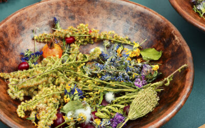 Tradycyjna fitoterapia Ameryki Południowej: czego możemy się nauczyć od Peru?