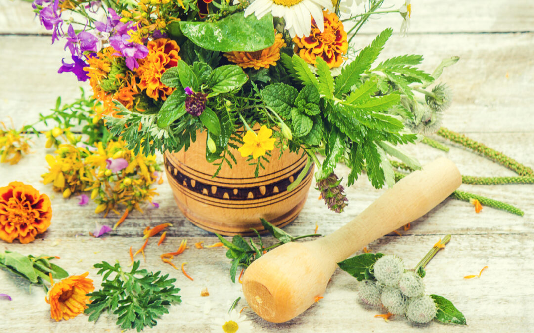 Maca, camu camu i sacha inchi – dlaczego cały świat mówi o peruwiańskich superfoods?